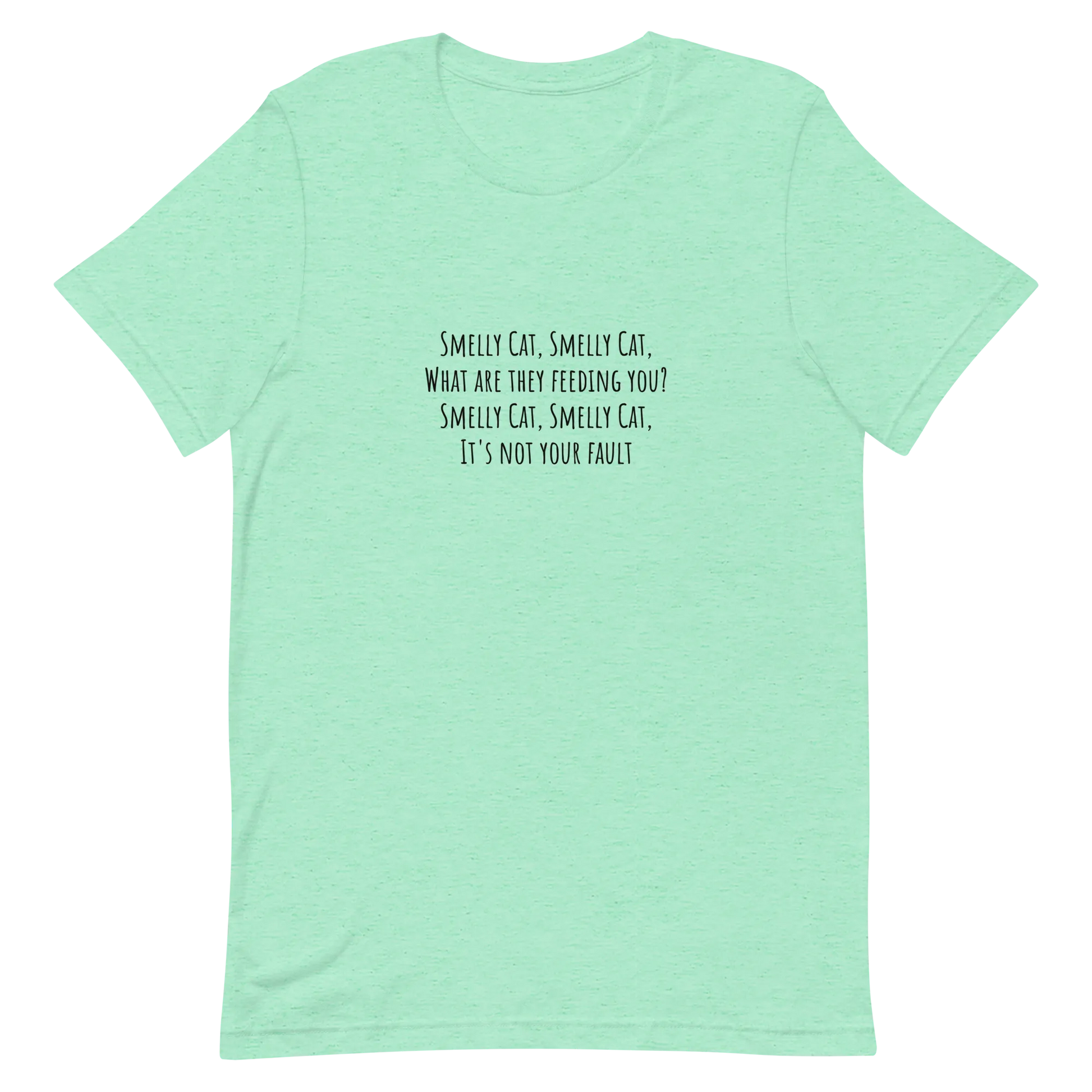 Smelly Cat Tee in Heather Mint flatlay